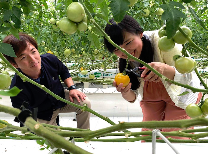 こだわりん食の現場訪問