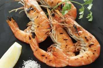 取り扱い食品