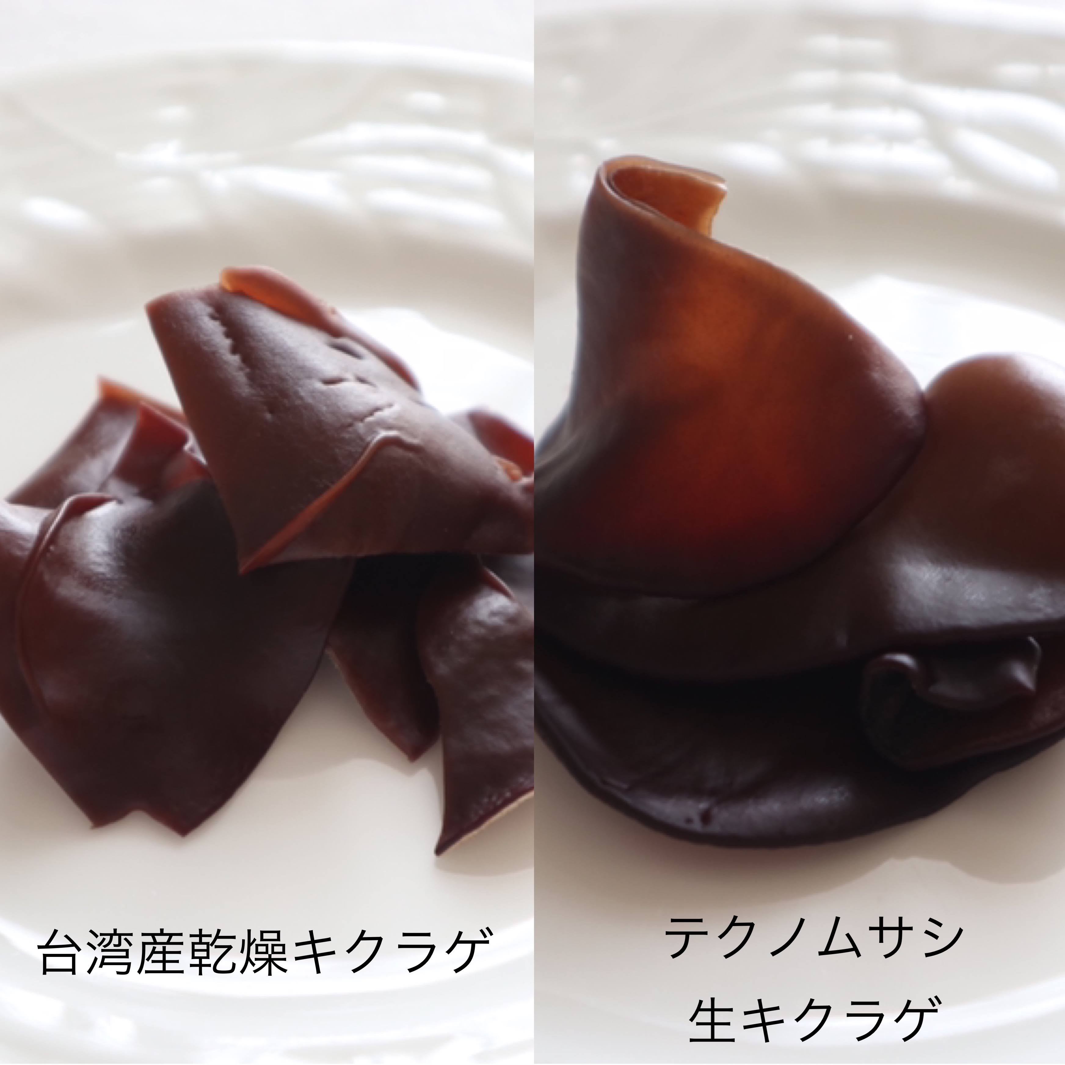 取材写真