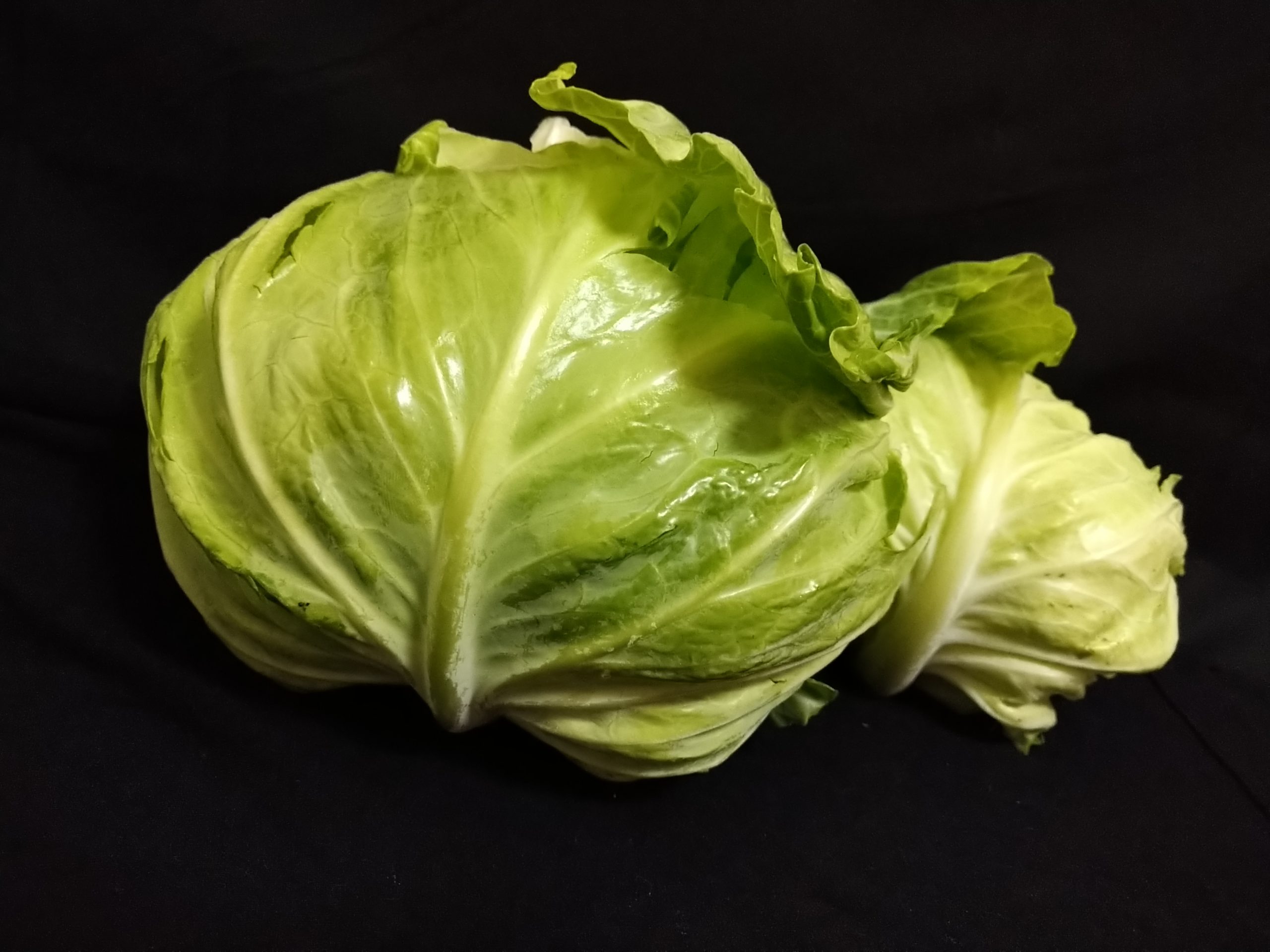 取材写真