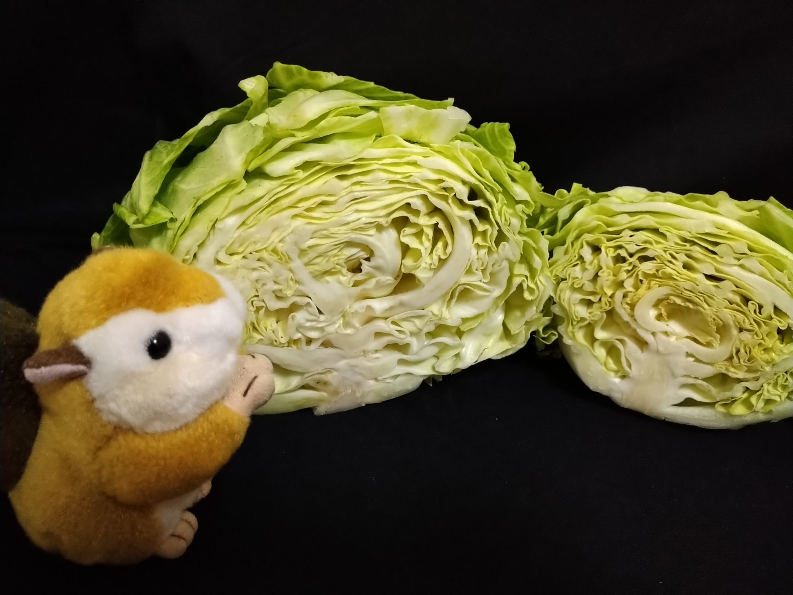 取材写真