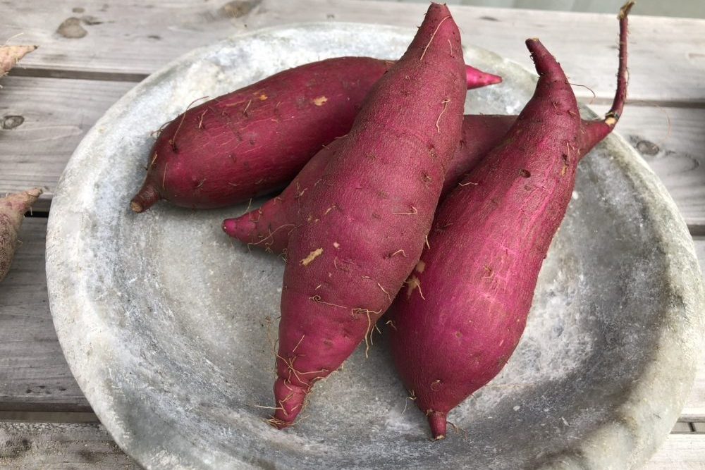 取り扱い食品