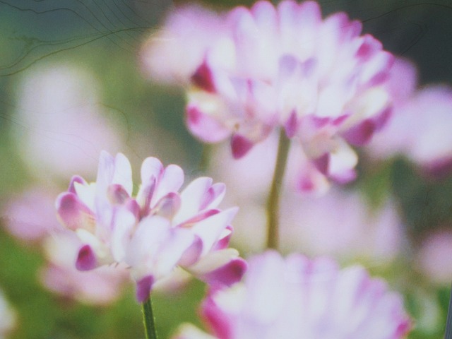 作り人の顔写真
