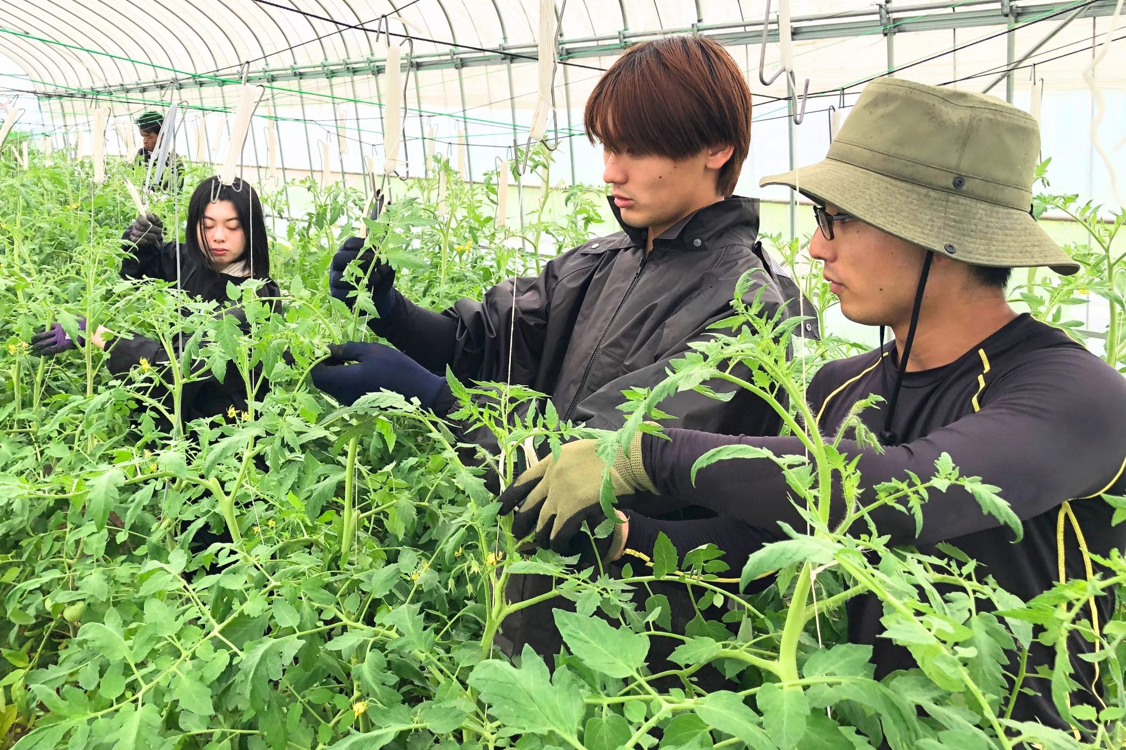 作り人の顔写真