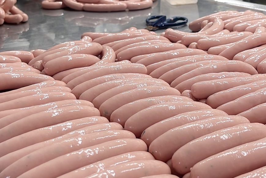 作り人の顔写真