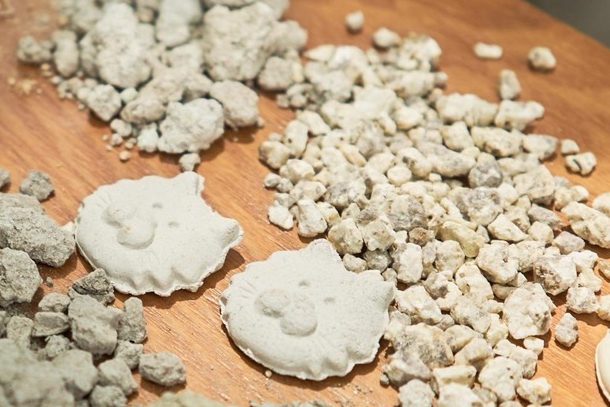 作り人の顔写真